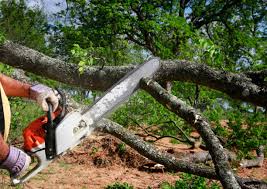 Best Tree Mulching Services  in Cressona, PA